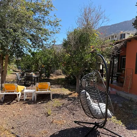 Villa Nim 2